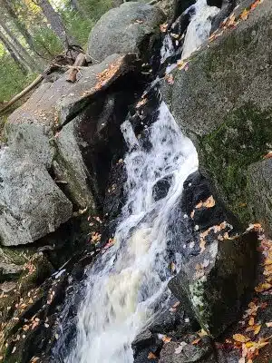 Peters Brook Trail - Blue Hill Heritage Trust