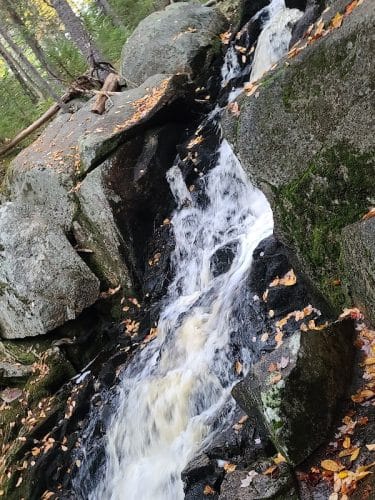 Peters Brook Trail - Blue Hill Heritage Trust