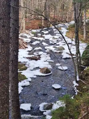 Peters Brook Trail - Blue Hill Heritage Trust