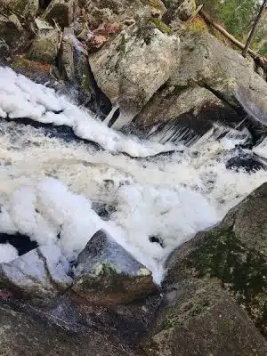 Peters Brook Trail - Blue Hill Heritage Trust