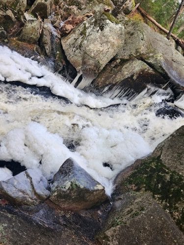 Peters Brook Trail - Blue Hill Heritage Trust