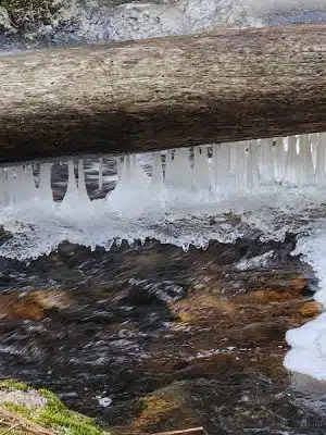 Peters Brook Trail - Blue Hill Heritage Trust