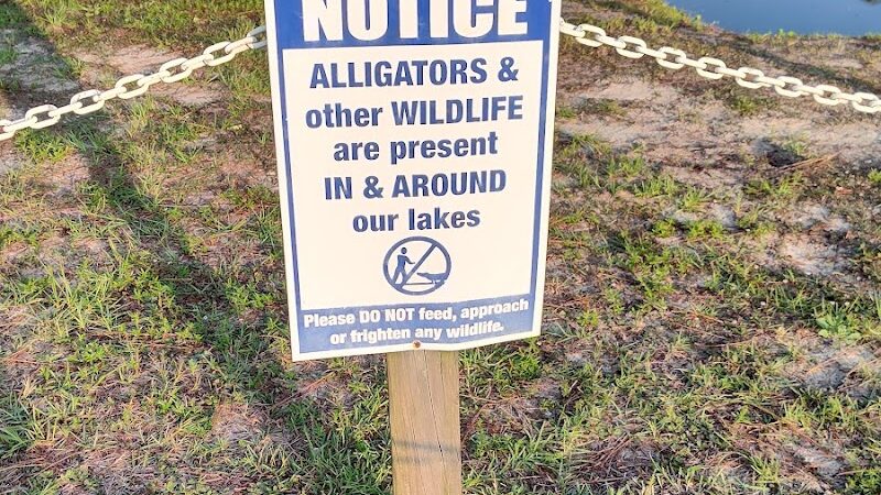 Seminole Lake Park - Boiling Spring Lakes, NC