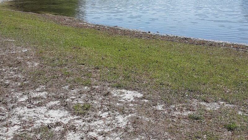 Seminole Lake Park - Boiling Spring Lakes, NC