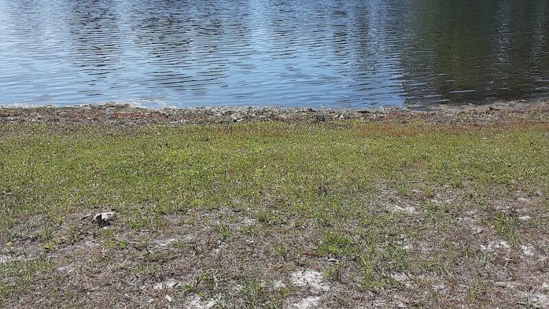 Seminole Lake Park - Boiling Spring Lakes, NC