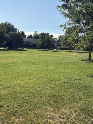 Cypress Park