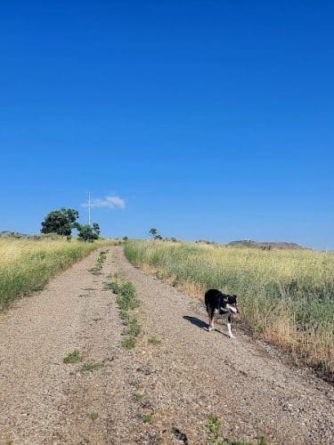 Fort Boise Dog Park