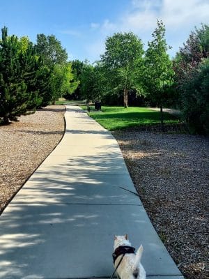 Mariposa Park