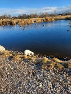Mariposa Park