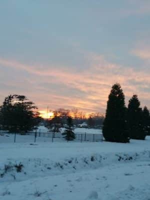 Morris Hill Park