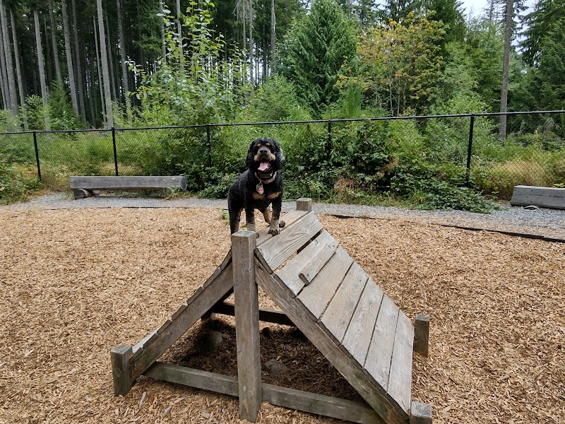 Hounds Hollow Dog Park - Bonney Lake, WA