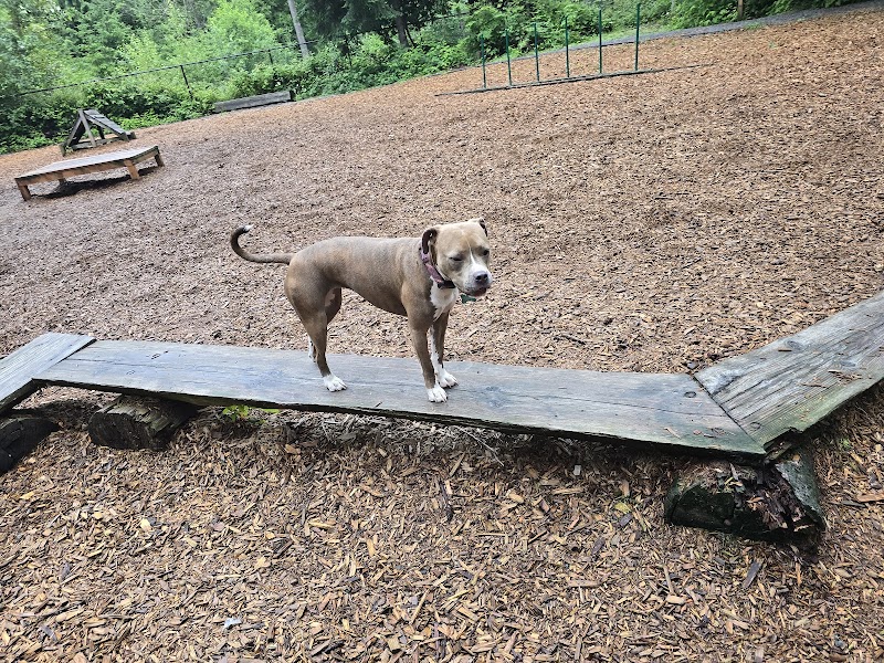 Hounds Hollow Dog Park - Bonney Lake, WA