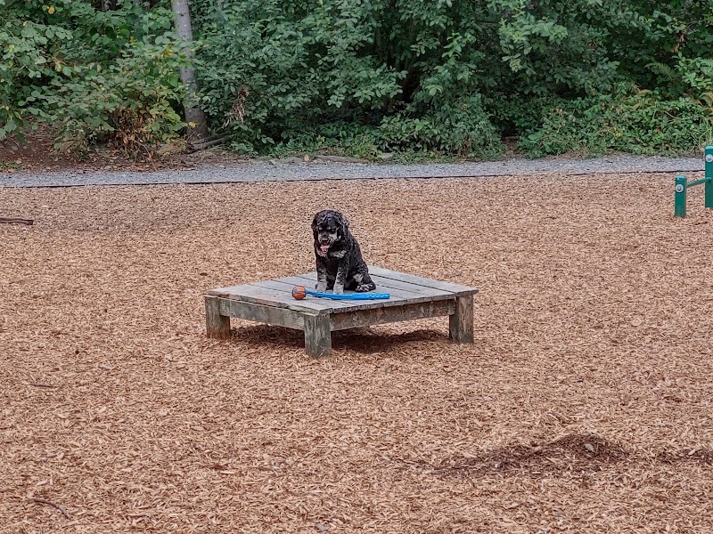 Hounds Hollow Dog Park - Bonney Lake, WA