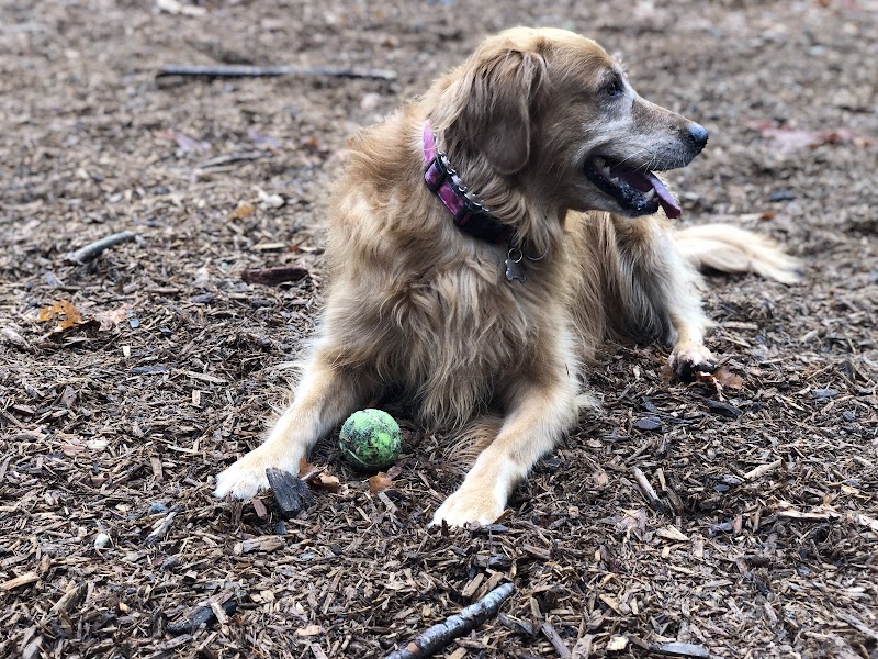 Hounds Hollow Dog Park - Bonney Lake, WA