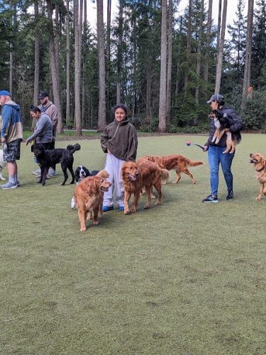 Hounds Hollow Dog Park - Bonney Lake, WA