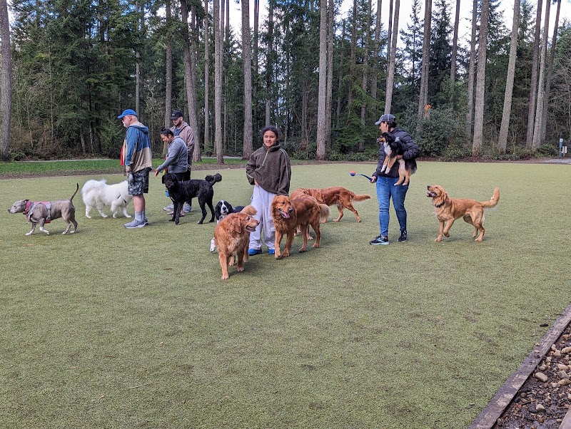 Hounds Hollow Dog Park - Bonney Lake, WA
