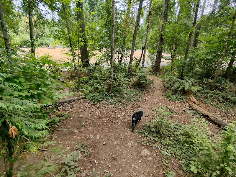 Hounds Hollow Dog Park - Bonney Lake, WA