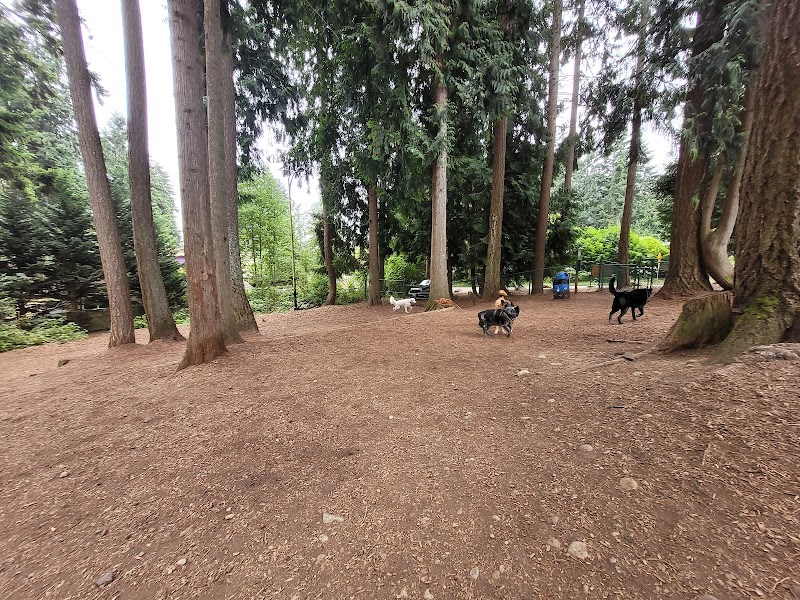 Viking Park, Off-leash Dog Park - Bonney Lake, WA