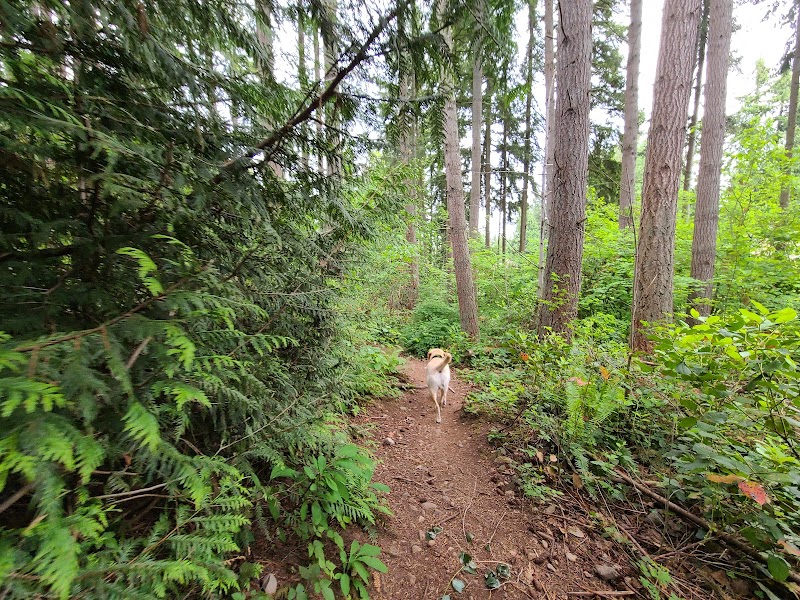 Viking Park, Off-leash Dog Park - Bonney Lake, WA