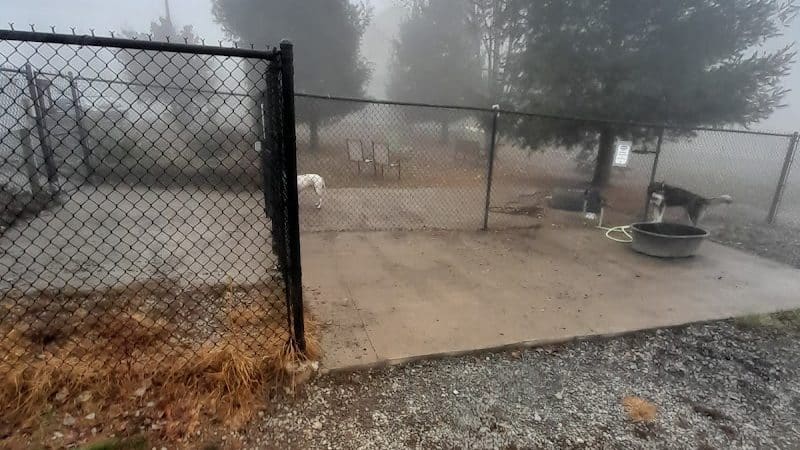 Humane Society Dog park - Boone, NC