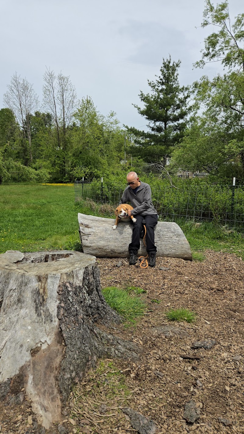 Humane Society Dog park - Boone, NC