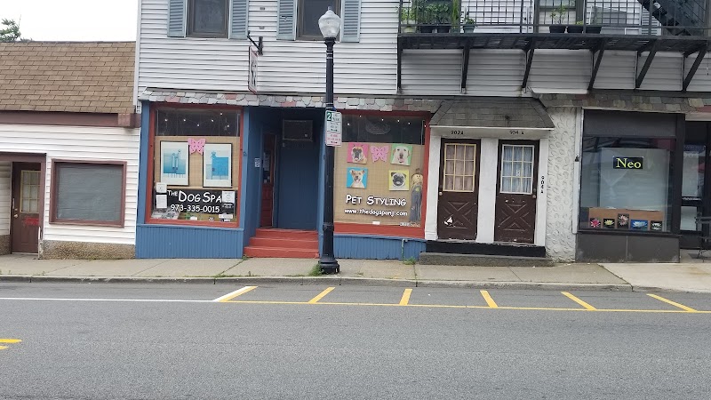 The Dog Spa - Boonton, NJ