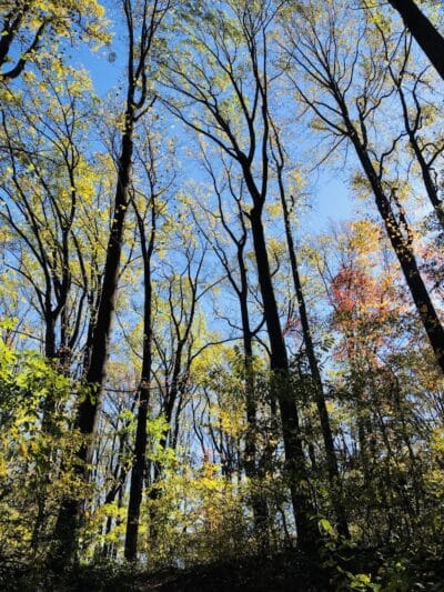 Crystal Lake Park - Bordentown, NJ