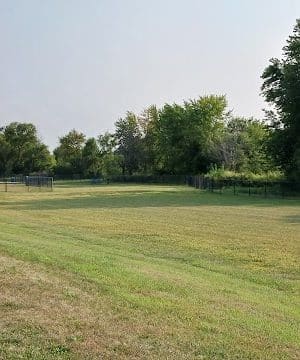 Dog Park
