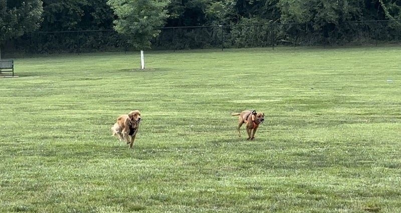 Bark Park at H.P. Thomas Park - Bowling Green, KY
