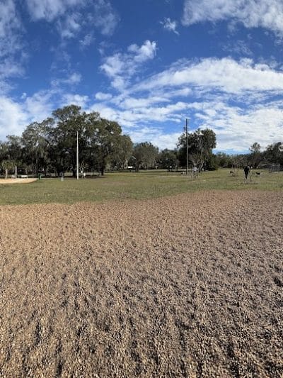 Saladino Dog Park - Brandon, FL