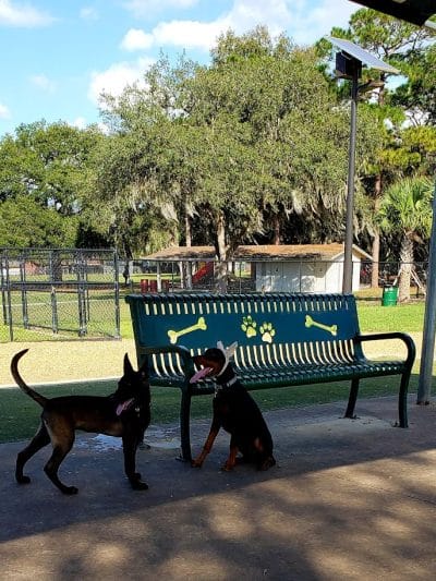 Saladino Dog Park - Brandon, FL