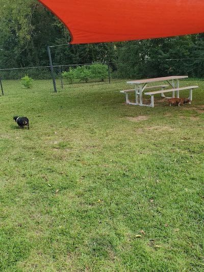 Gordy Dog Park - Brewton, AL