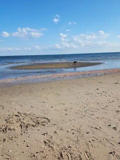 Seaside Park - Bridgeport, CT