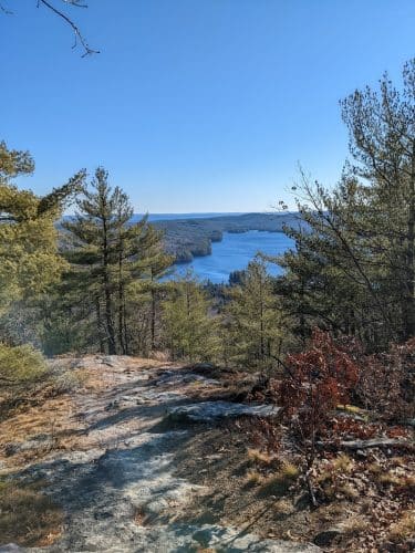 Bald Pate Preserve Parking Area