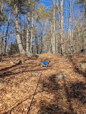 Bald Pate Preserve Parking Area
