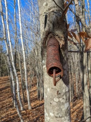 Bald Pate Preserve Parking Area