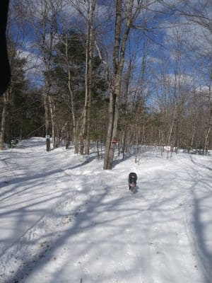 Bald Pate Preserve Parking Area
