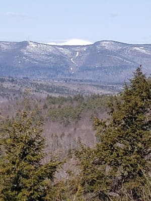 Bald Pate Preserve Parking Area