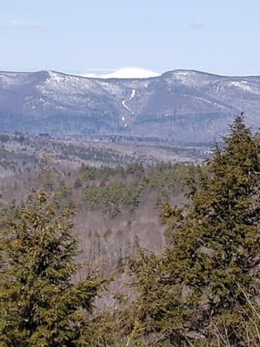Bald Pate Preserve Parking Area