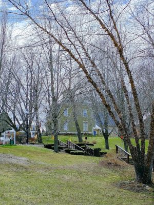 Shorey Park
