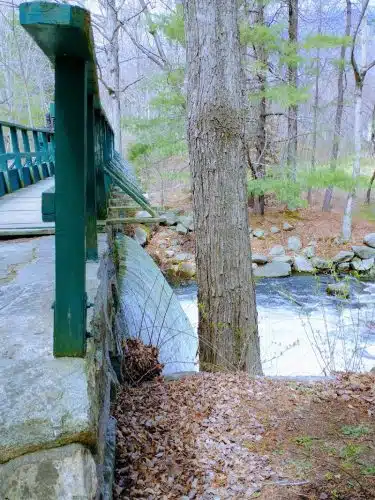 Shorey Park