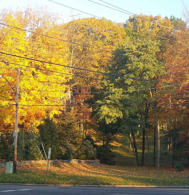 Persimmon Park - Brighton, NY