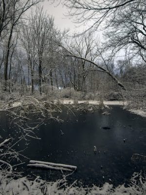 Persimmon Park