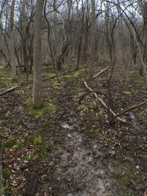 Persimmon Park
