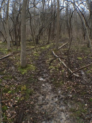 Persimmon Park