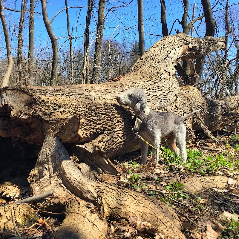 Persimmon Park - Brighton, NY