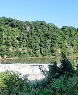Persimmon Park