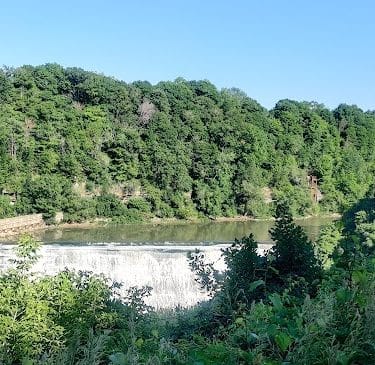 Persimmon Park