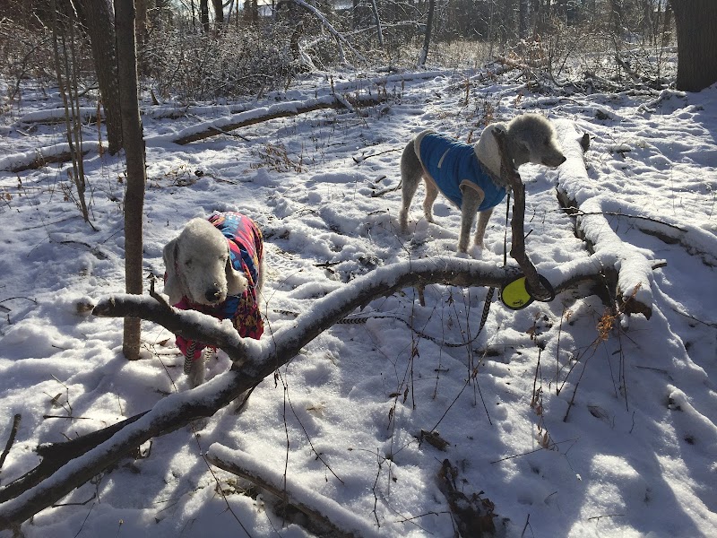 Persimmon Park - Brighton, NY
