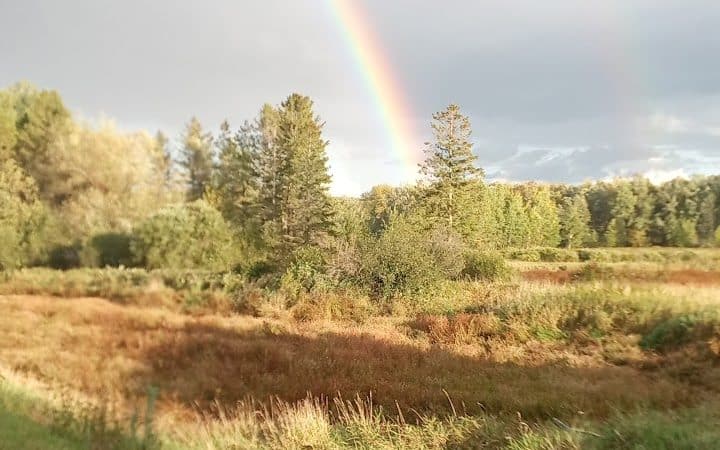 Brill - Brill, WI